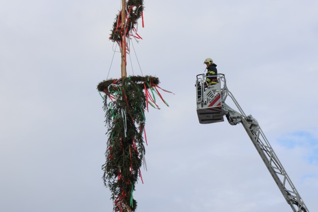 Spitze abgebrochen: Strkere Windben beschdigten groen Maibaum am Stadtplatz in Wels-Innenstadt