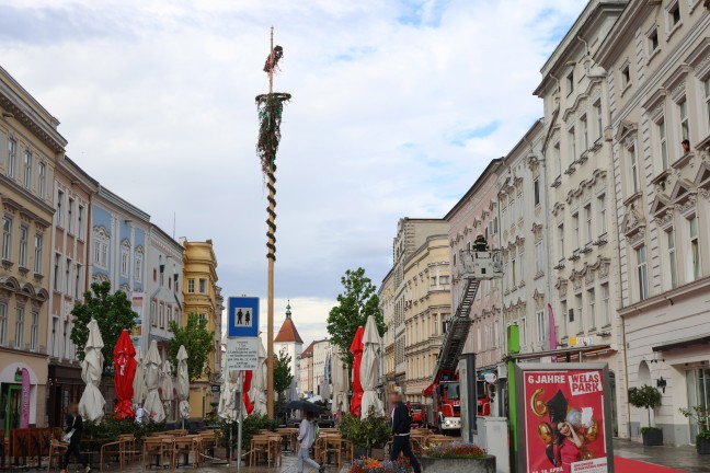 Spitze abgebrochen: Strkere Windben beschdigten groen Maibaum am Stadtplatz in Wels-Innenstadt