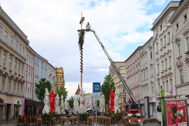 Spitze abgebrochen: Strkere Windben beschdigten groen Maibaum am Stadtplatz in Wels-Innenstadt