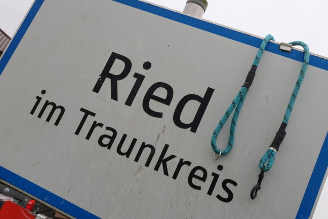Giftkder ausgelegt: Hund nach Spaziergang in Ried im Traunkreis beinahe an Vergiftung gestorben