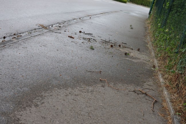 Ast beseitigt: Einsatzkrfte der Feuerwehr zu Sturmschaden nach Wels-Pernau alarmiert