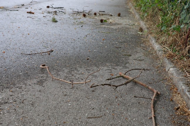 Ast beseitigt: Einsatzkrfte der Feuerwehr zu Sturmschaden nach Wels-Pernau alarmiert