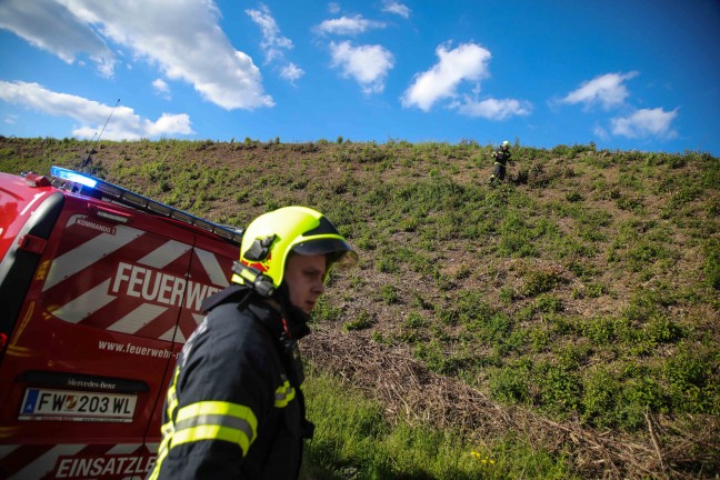 Kleinbrand entlang der Westbahnstrecke bei Marchtrenk vor Eintreffen der Feuerwehr gelscht