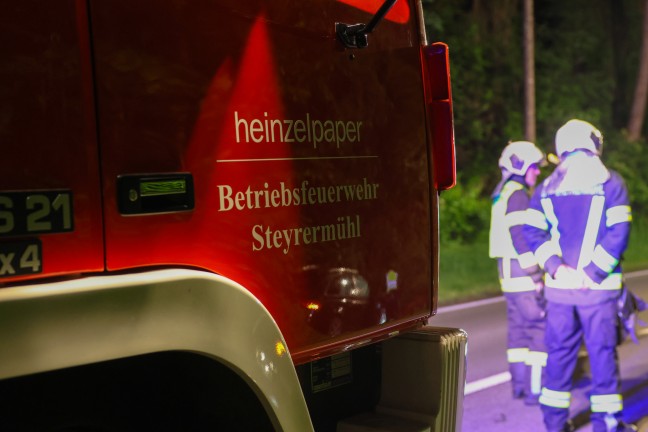 Auto bei Laakirchen von Gmundener Strae abgekommen und in Struchern am Waldrand gelandet