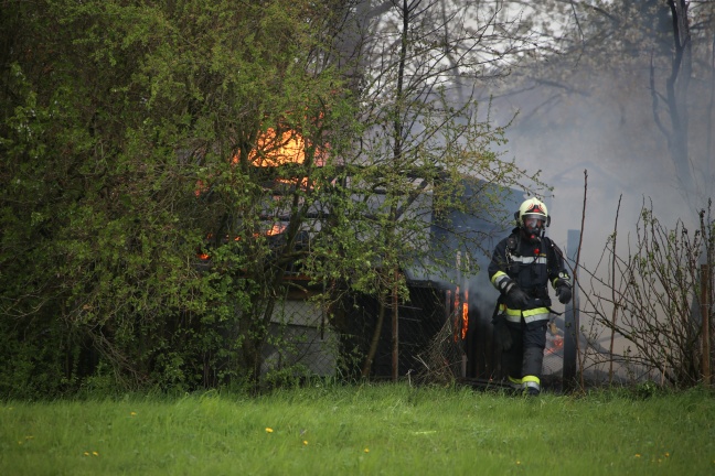 Gartenhtte in Wels-Lichtenegg in Vollbrand