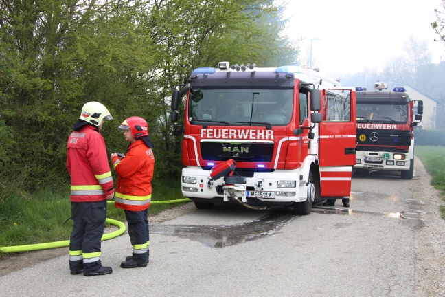 Gartenhtte in Wels-Lichtenegg in Vollbrand