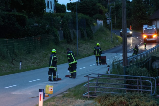 Edt bei Lambach: Alarmierung der Feuerwehr zu umgestrztem Baum endete in lspureinsatz