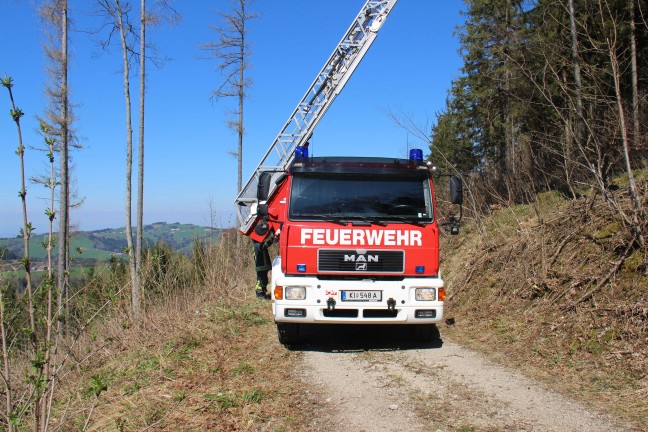 Paragleiter verfing sich in Micheldorf in Oberösterreich in einer Baumkrone
