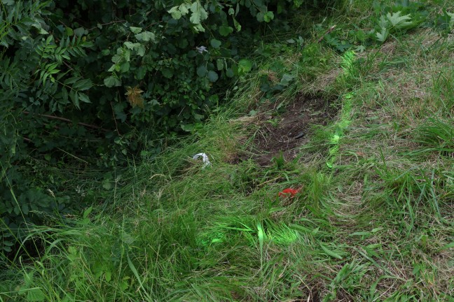 Verkehrsunfall: Auto in Ansfelden von Strae abgekommen und berschlagen