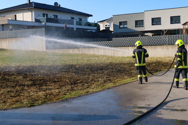 Flurbrand: Brand einer Wiese in einer Siedlung in Sipbachzell rasch gelscht