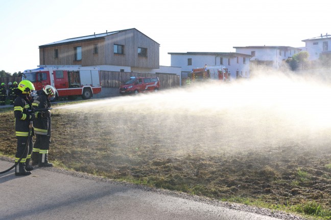 Flurbrand: Brand einer Wiese in einer Siedlung in Sipbachzell rasch gelscht