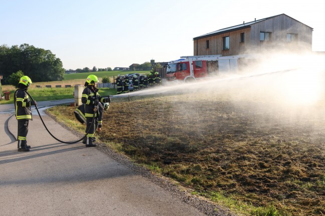 Flurbrand: Brand einer Wiese in einer Siedlung in Sipbachzell rasch gelscht