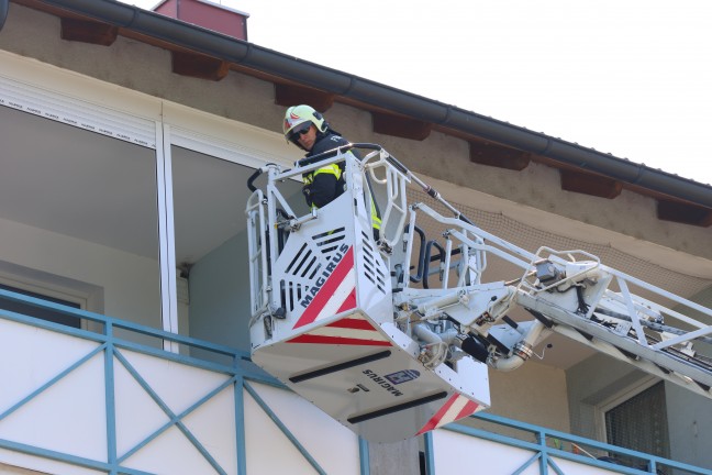 Kabelbrand in der Kche einer Wohnung eines Mehrparteienwohnhauses in Wels-Neustadt