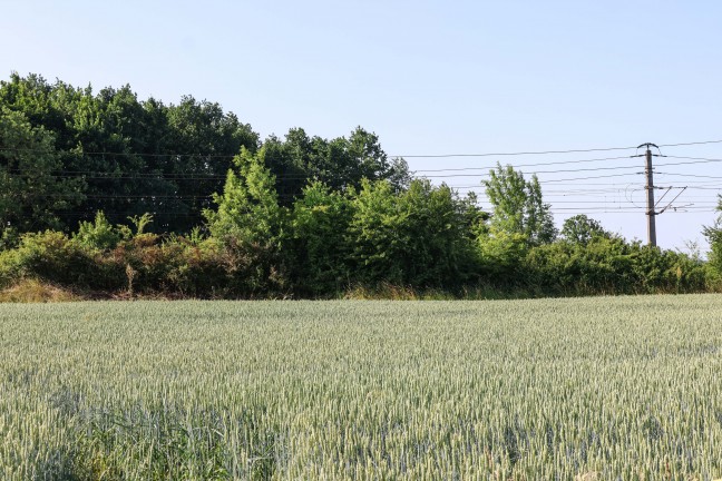 Kleinerer Bschungsbrand in Wels-Waidhausen konnte schnell gelscht werden