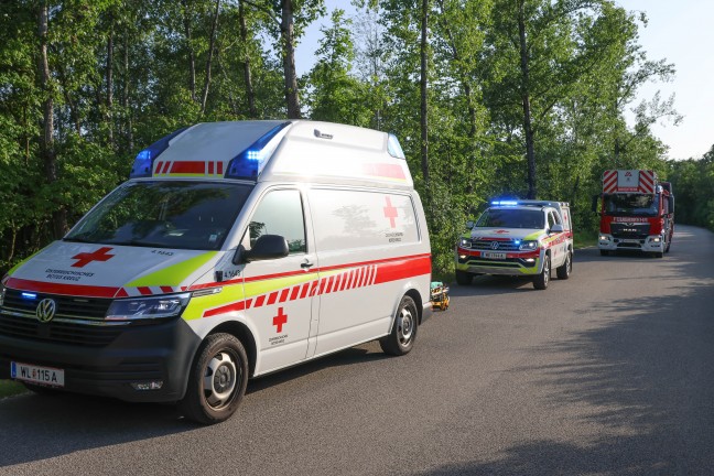 Personenrettung in Marchtrenk: Bub nach Sturz ber Bschung durch Feuerwehr aus der Traun gerettet