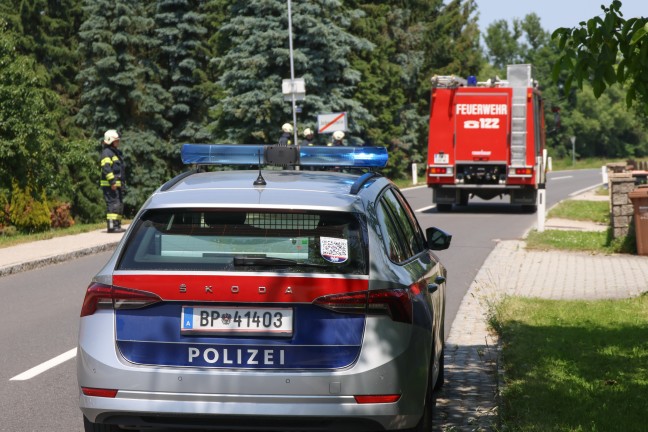 Brand eines Gasgrillers: Feuerwehr im Garten eines Hauses in Holzhausen im Einsatz