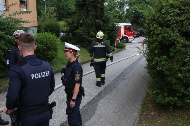 Mllinsel in einer Wohnanlage in Wels-Vogelweide in Vollbrand