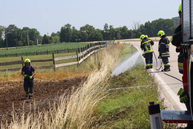 Brand eines Stoppelfeldes in Weikirchen an der Traun rasch gelscht
