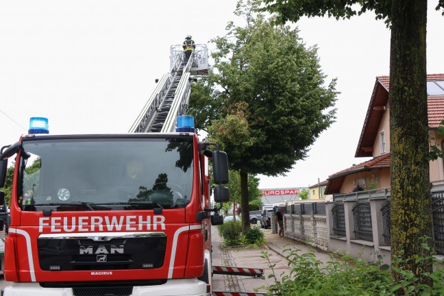 Sturmschaden: Gro�e �ste drohten von Baum in Wels-Vogelweide auf die Stra�e zu st�rzen