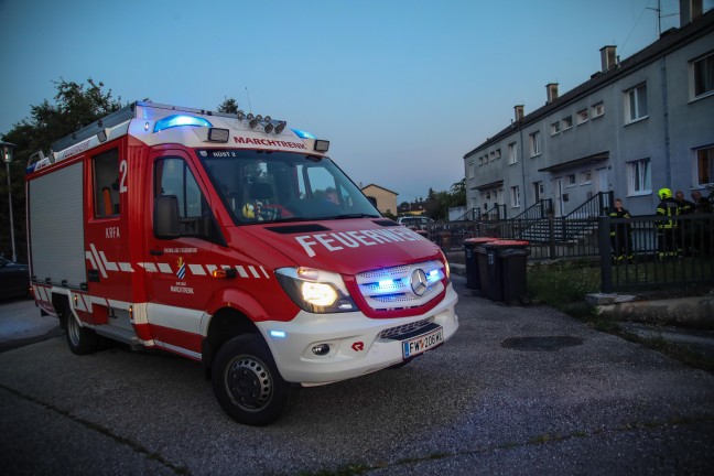 Schlange aus Spielzeugbagger gerettet - Feuerwehr bei Reptilieneinsatz in Marchtrenk im Einsatz