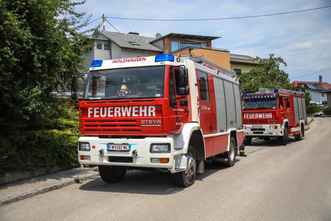 Rettung durch Feuerwehr: Rehbock suchte Abk�hlung im Swimmingpool eines Hauses in Holzhausen