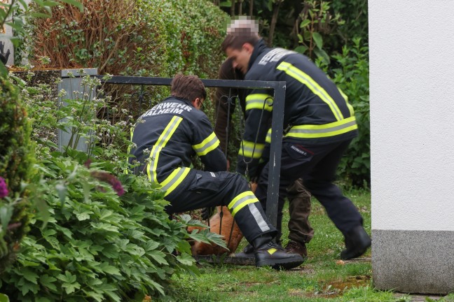 Tierrettung: Feuerwehr und J�ger befreien eingeklemmten Rehbock aus Gartentor in Thalheim bei Wels