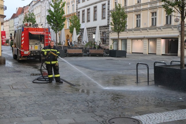 Blutspur am Stadtplatz in Wels-Innenstadt sorgte f�r Einsatz der Feuerwehr