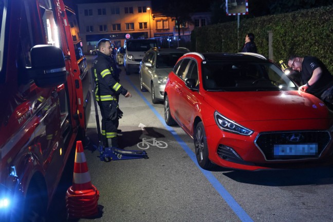 K�tzchen narrte Einsatzkr�fte: Samtpfote versteckte sich im Motorraum von gleich drei Fahrzeugen