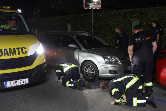 K�tzchen narrte Einsatzkr�fte: Samtpfote versteckte sich im Motorraum von gleich drei Fahrzeugen