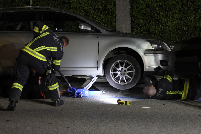 K�tzchen narrte Einsatzkr�fte: Samtpfote versteckte sich im Motorraum von gleich drei Fahrzeugen