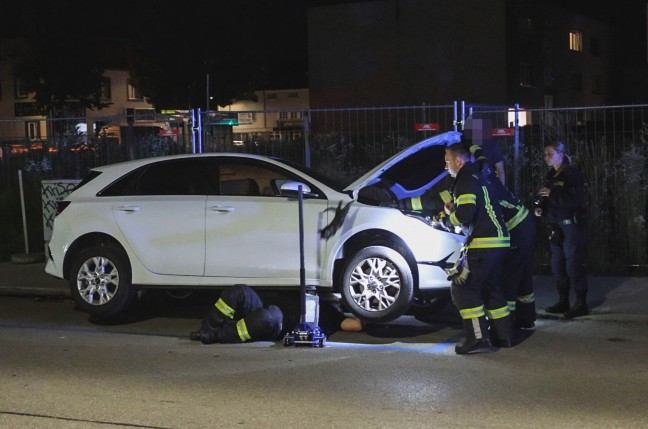 K�tzchen narrte Einsatzkr�fte: Samtpfote versteckte sich im Motorraum von gleich drei Fahrzeugen
