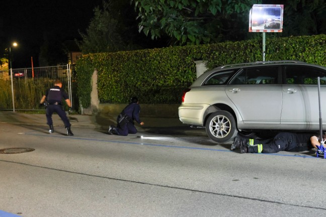 K�tzchen narrte Einsatzkr�fte: Samtpfote versteckte sich im Motorraum von gleich drei Fahrzeugen