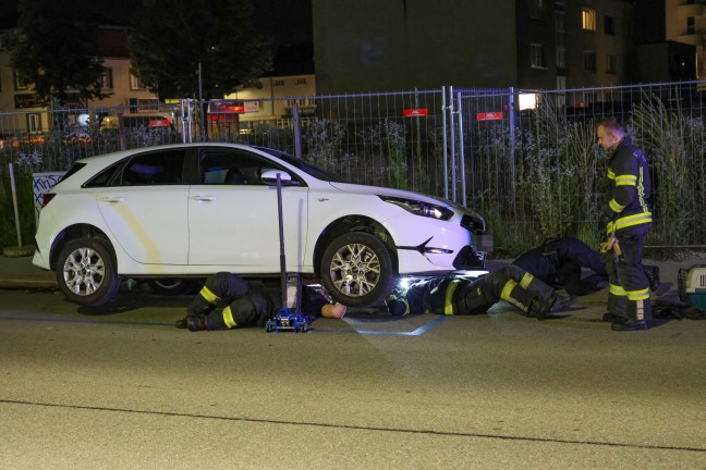 K�tzchen narrte Einsatzkr�fte: Samtpfote versteckte sich im Motorraum von gleich drei Fahrzeugen