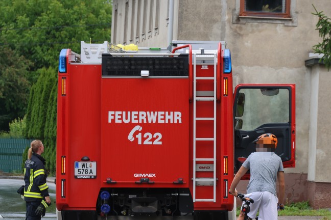 Feuerwehr bei Rettung einer Schlange in Pichl bei Wels im Einsatz