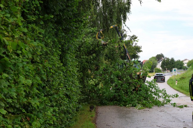 Steinhaus: Sturmb�en bei kurzem Gewitter sorgten f�r mehrere Eins�tze der Feuerwehr