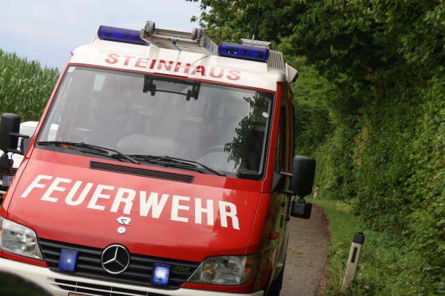Steinhaus: Sturmb�en bei kurzem Gewitter sorgten f�r mehrere Eins�tze der Feuerwehr