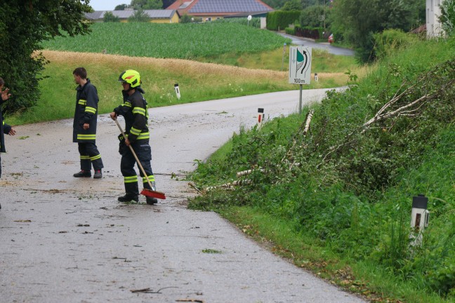 Steinhaus: Sturmb�en bei kurzem Gewitter sorgten f�r mehrere Eins�tze der Feuerwehr