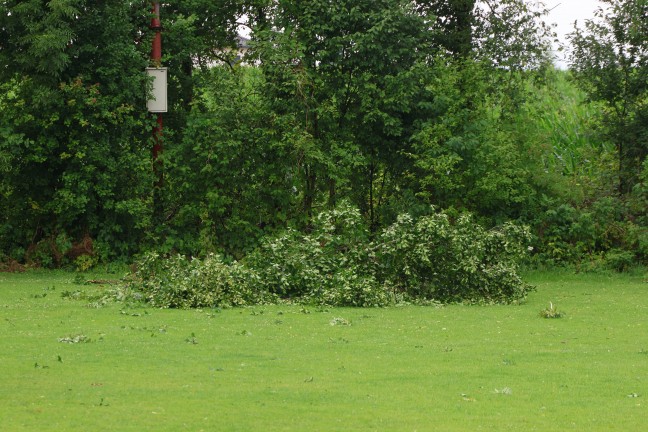 Steinhaus: Sturmb�en bei kurzem Gewitter sorgten f�r mehrere Eins�tze der Feuerwehr