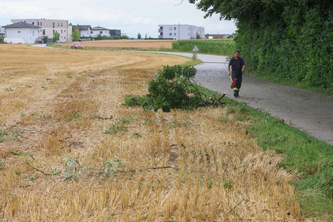 Steinhaus: Sturmb�en bei kurzem Gewitter sorgten f�r mehrere Eins�tze der Feuerwehr