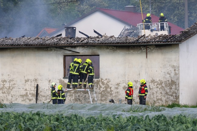 Vollbrand: F�nf Feuerwehren bei Brand einer als Autowerkstatt genutzten Halle in Pupping im Einsatz