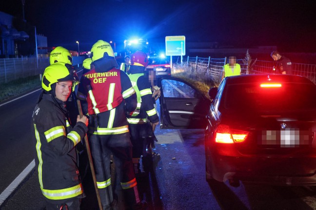 Steinhaus: Einsatzkr�fte zu Aufr�umarbeiten nach Wildunfall auf der Pyhrnpass Stra�e alarmiert