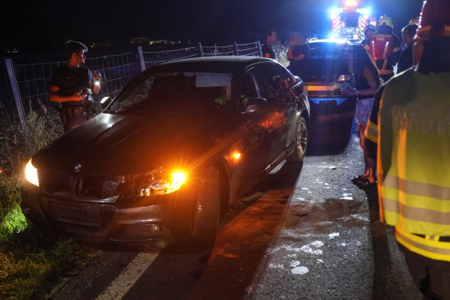 Steinhaus: Einsatzkr�fte zu Aufr�umarbeiten nach Wildunfall auf der Pyhrnpass Stra�e alarmiert