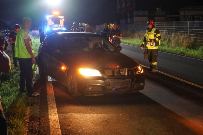 Steinhaus: Einsatzkr�fte zu Aufr�umarbeiten nach Wildunfall auf der Pyhrnpass Stra�e alarmiert