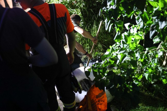 Umfangreicher Bindeeinsatz nach Dieselaustritt in einem kleinen Bachlauf in Pichl bei Wels
