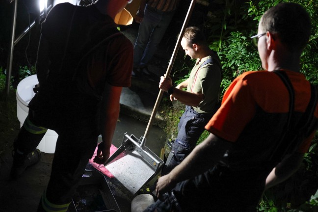 Umfangreicher Bindeeinsatz nach Dieselaustritt in einem kleinen Bachlauf in Pichl bei Wels