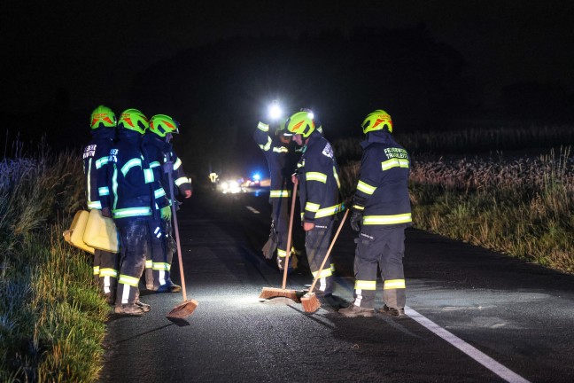 Wildunfall f�hrte zu neuerlichem Einsatz einer Feuerwehr in Steinhaus