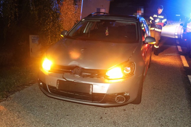 Wildunfall f�hrte zu neuerlichem Einsatz einer Feuerwehr in Steinhaus