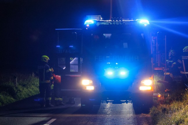 Wildunfall f�hrte zu neuerlichem Einsatz einer Feuerwehr in Steinhaus