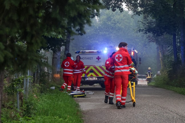 Wels-Puchberg: Auto nach Crash gegen Baum in Flammen aufgegangen