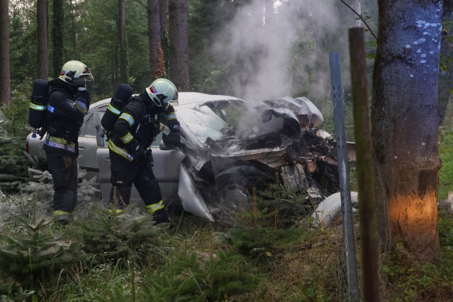 Wels-Puchberg: Auto nach Crash gegen Baum in Flammen aufgegangen